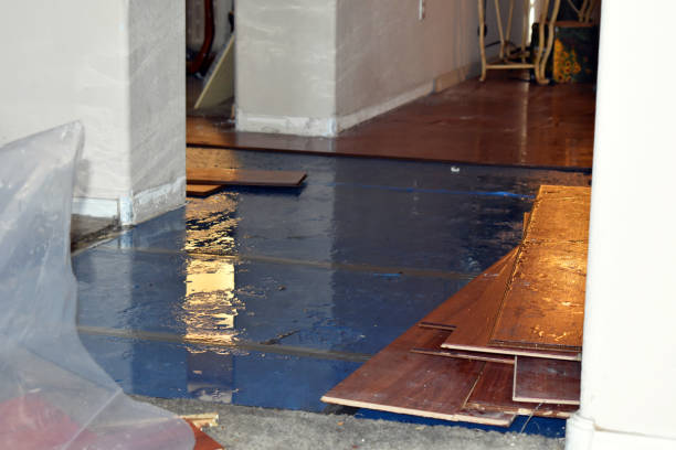 Professional Water Damage Restoration technician working in Edisto Island, SC